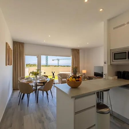 Large Terrace, Swimming Pool, Private Garage And Fiber *